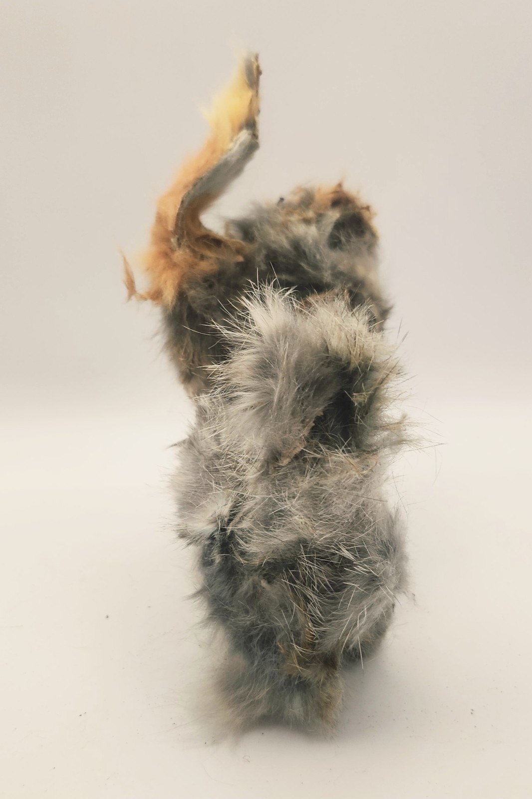 Vintage 50s–70s Faux Fur Dog Figurine • Composition Body Damaged Oddity Decor