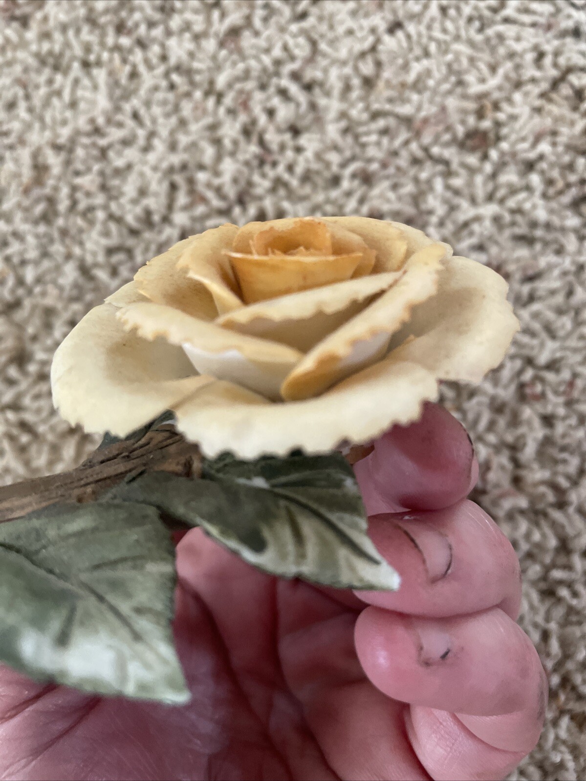 Delicate Possible Porcelain Rose On A Branch With Leaves