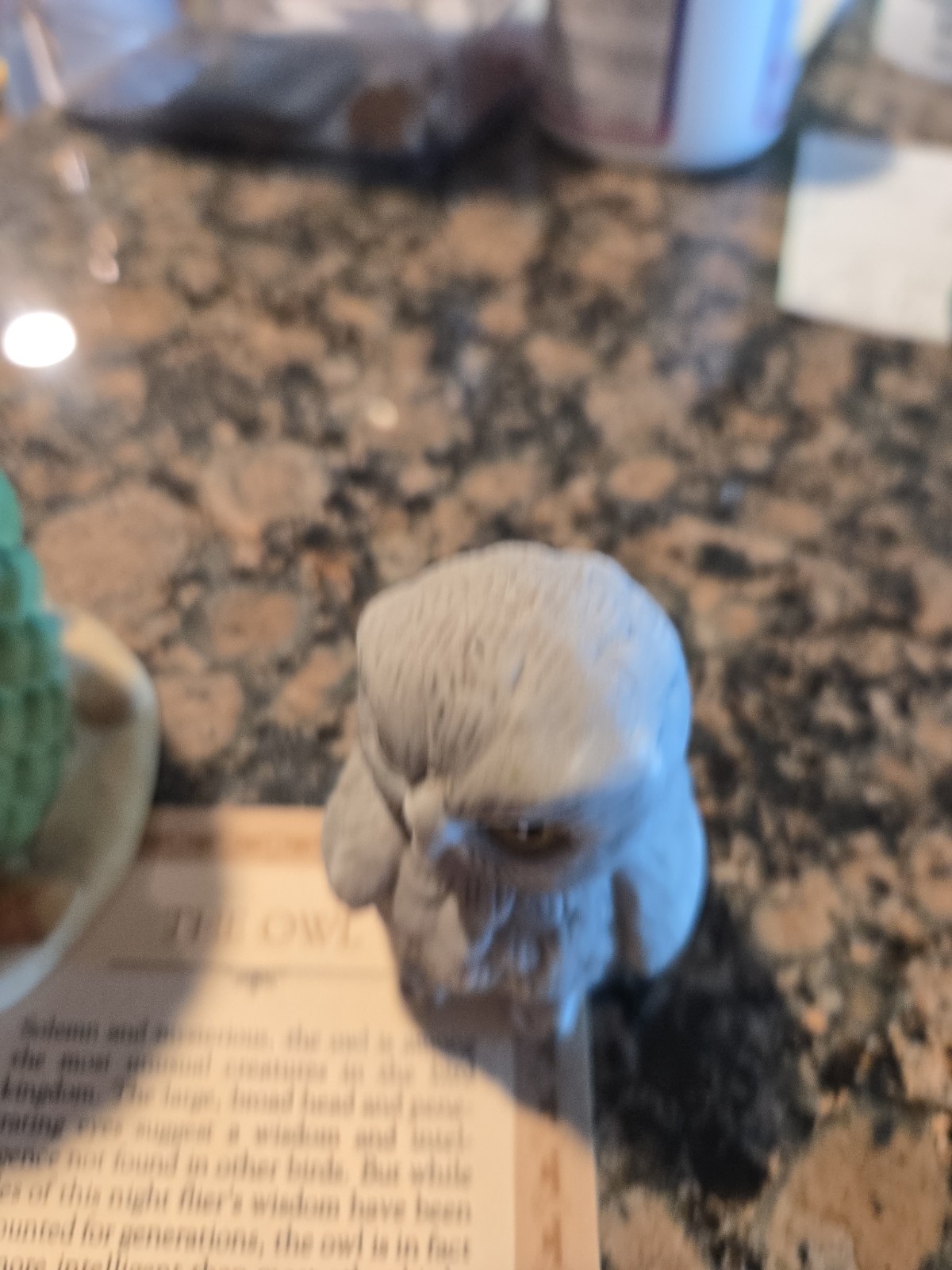 Vintage 1984 Woodland Surprises Owl in Cactus Figurine – Jacqueline B. Smith