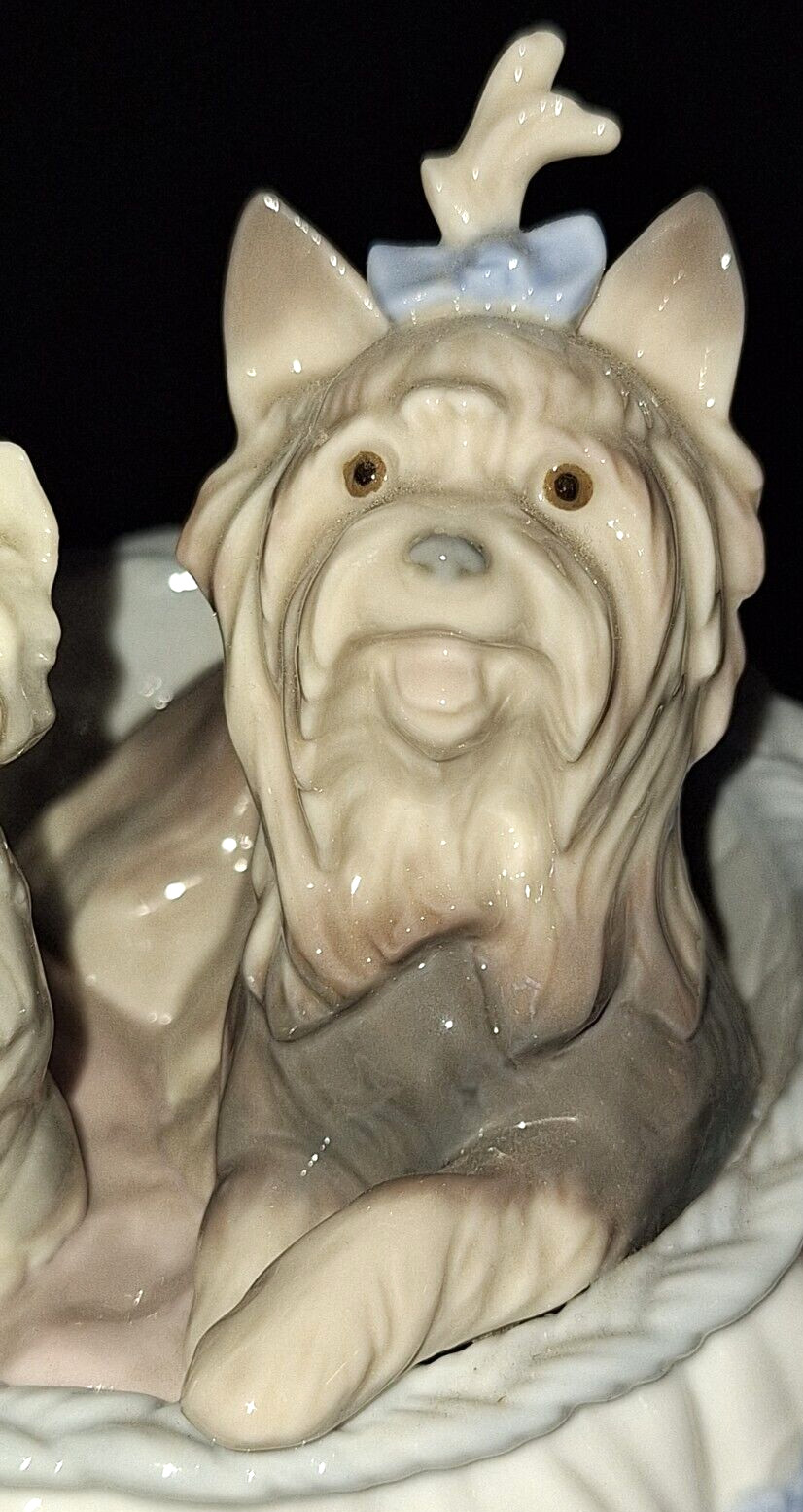 LLADRO YORKIE YORKSHIRE TERRIER DOG Our Cozy Home #6469 RETIRED PORCELAIN FIGURE