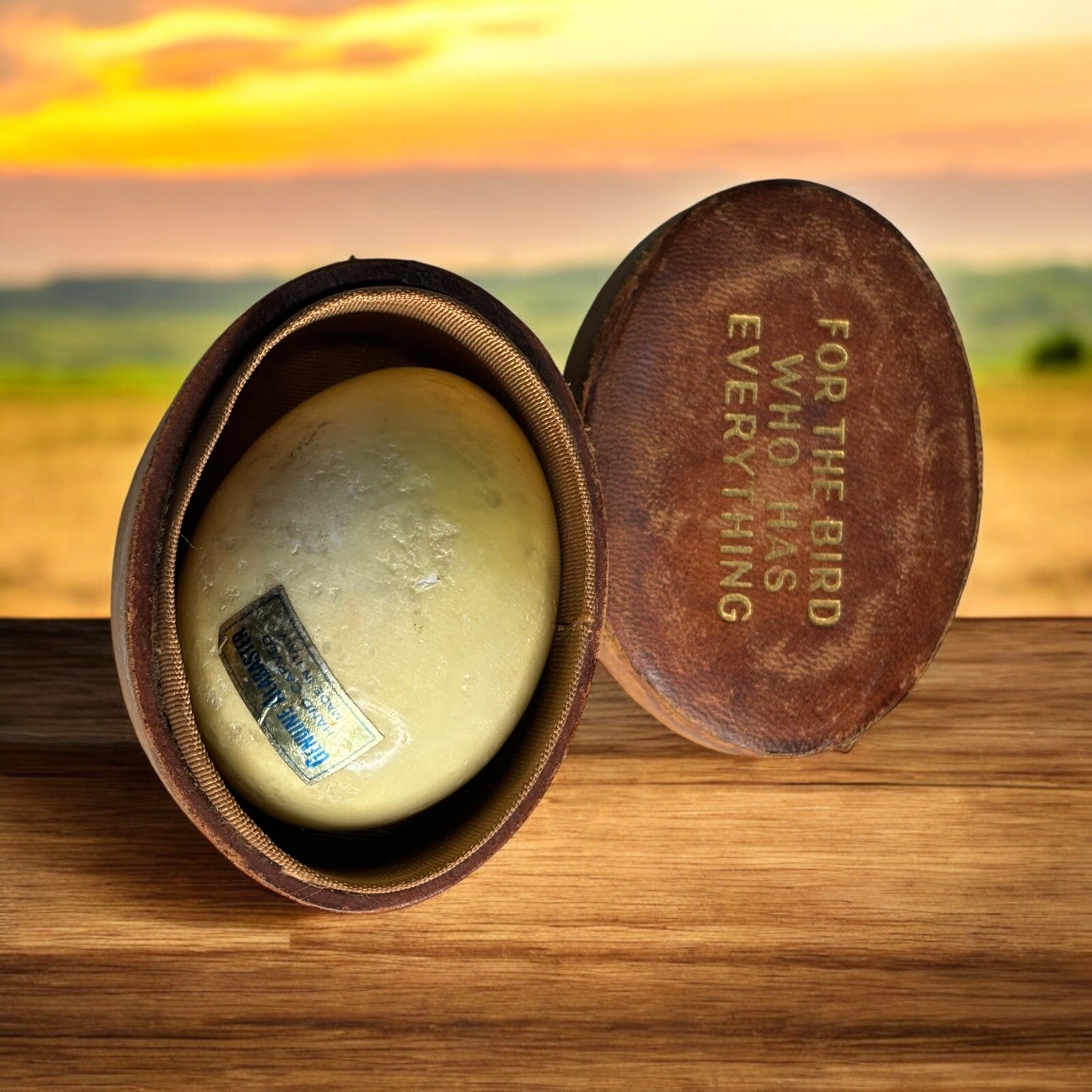 MCM Italian Hand Carved Alabaster Egg- Rust Colored Leather Case “For The Bird