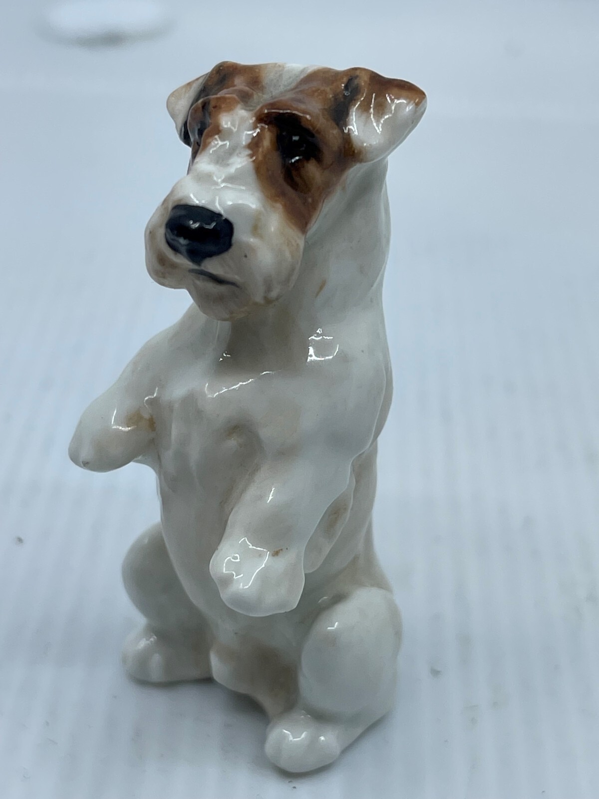 ROYAL DOULTON Begging Sealyham Terrier Antique Backstamp Very Good Condition