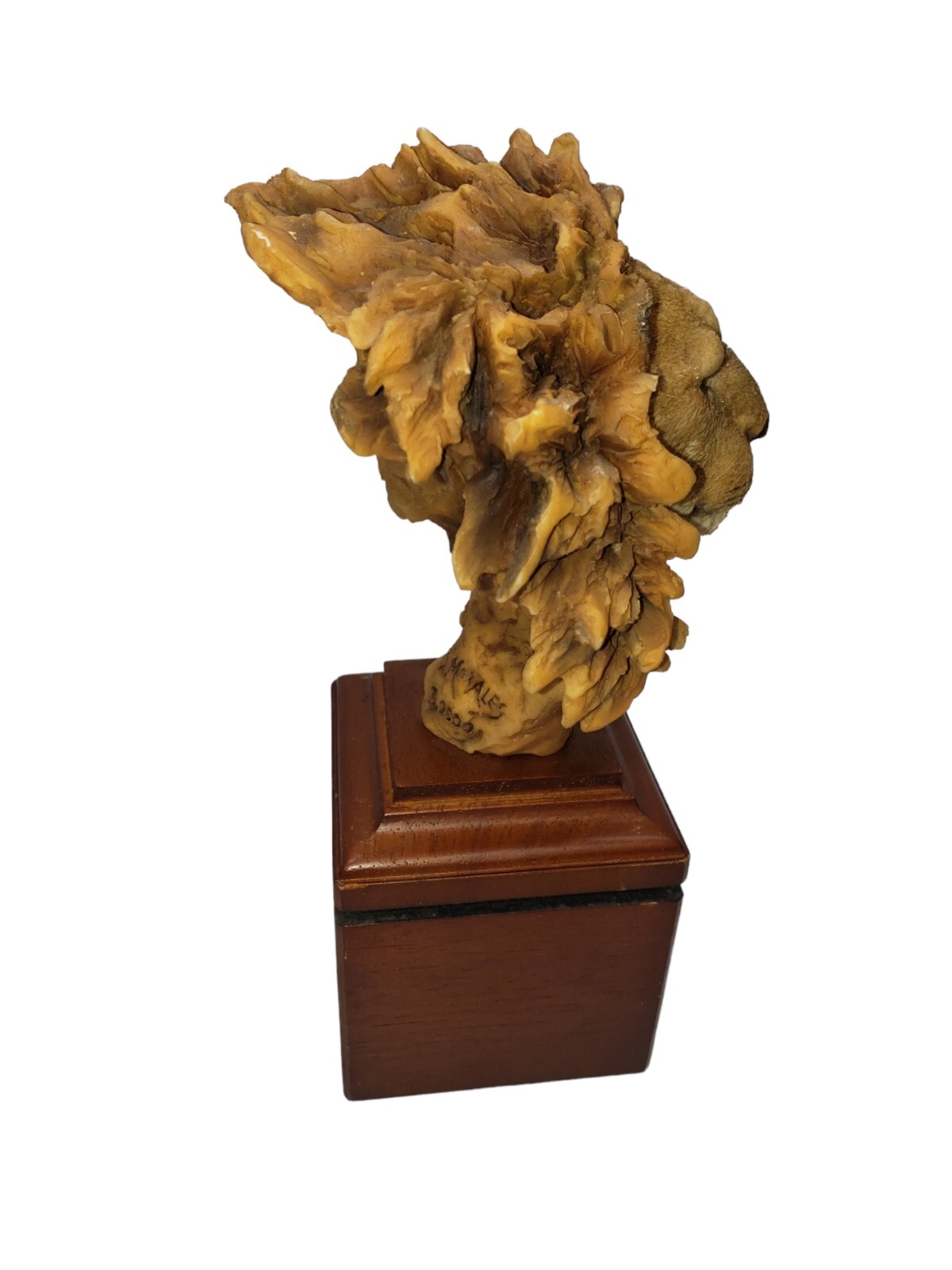 Mill Creek Collection Lion Sculpture On Wooden Stand King Of Kings D. Morales