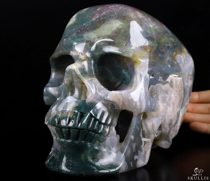 Giant 8.0″ Indian Agate Carved Crystal Skull,Super Realistic, Crystal Healing