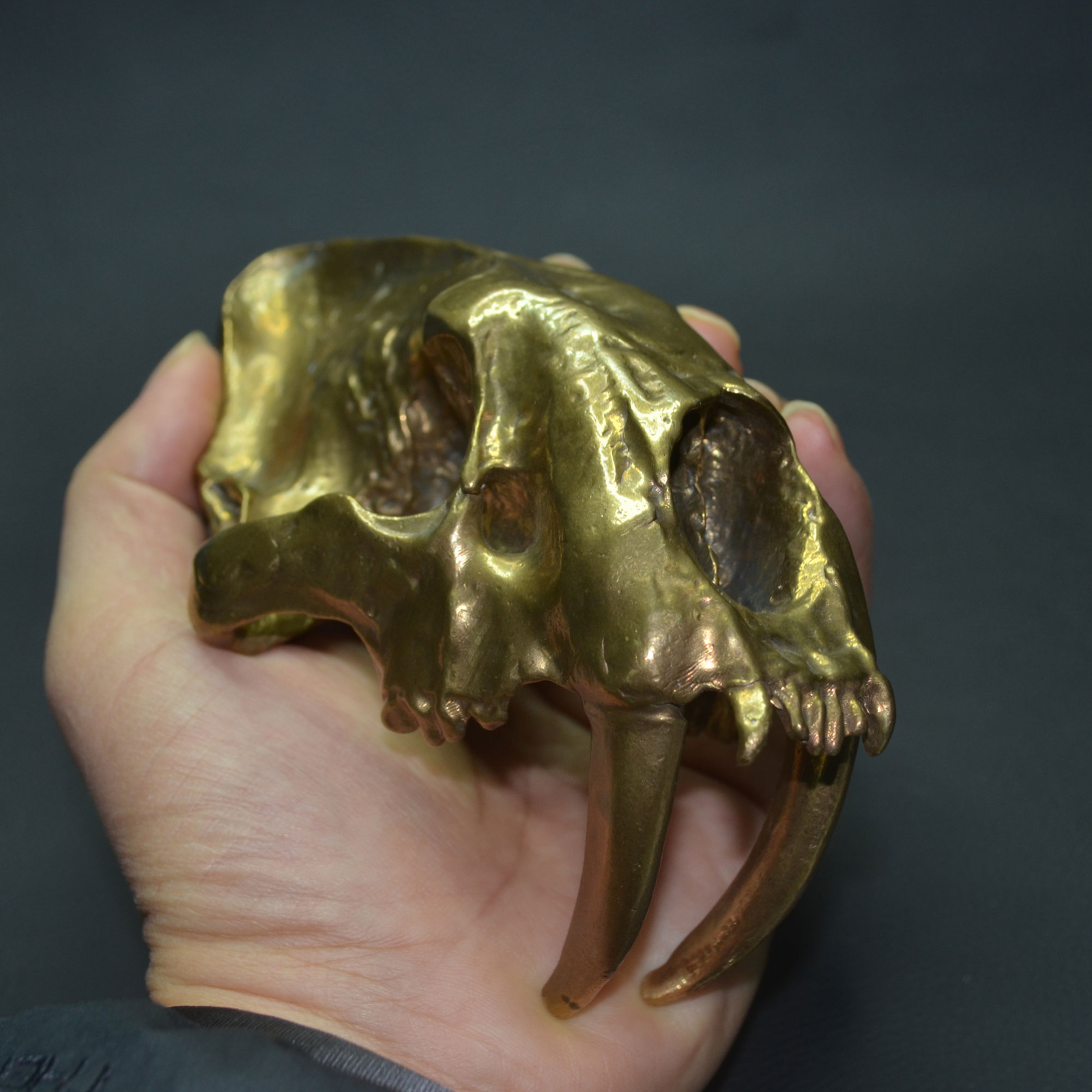 Casting Solid Brass Copper Tiger Skull Artwork,Bookcase Decoration Collection