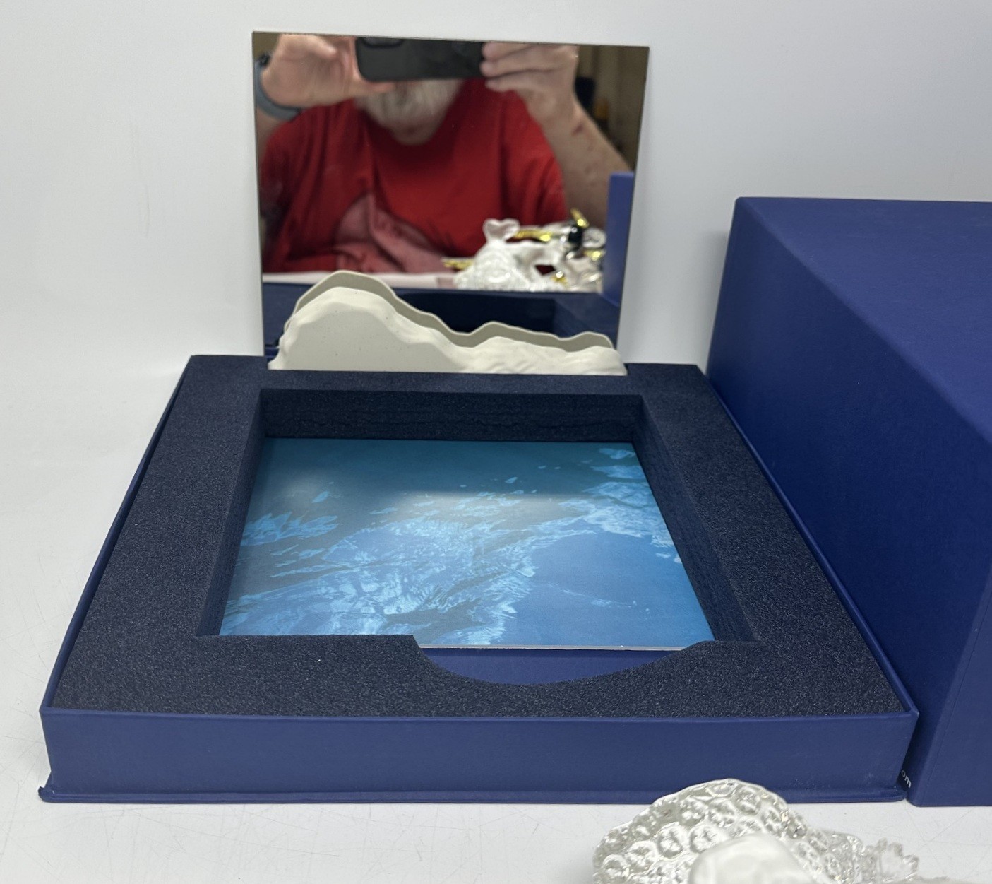 Swarovski Wonders Of The Sea Crystal Sculpture – “Community”