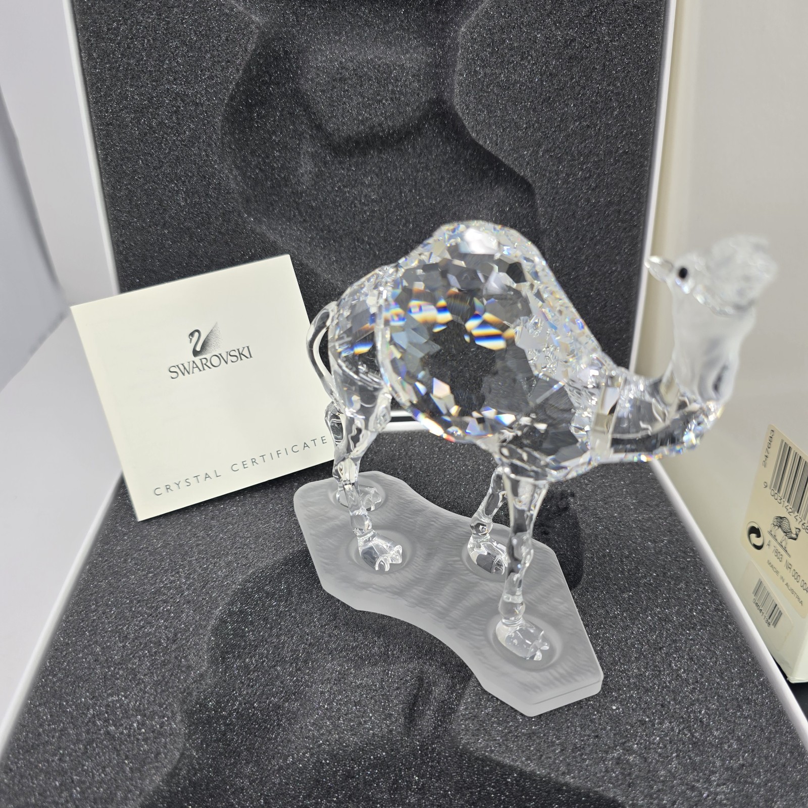 Swarovski Camel 247683 With Box/ COA- Signed by Artist Heinz Tabertshofer