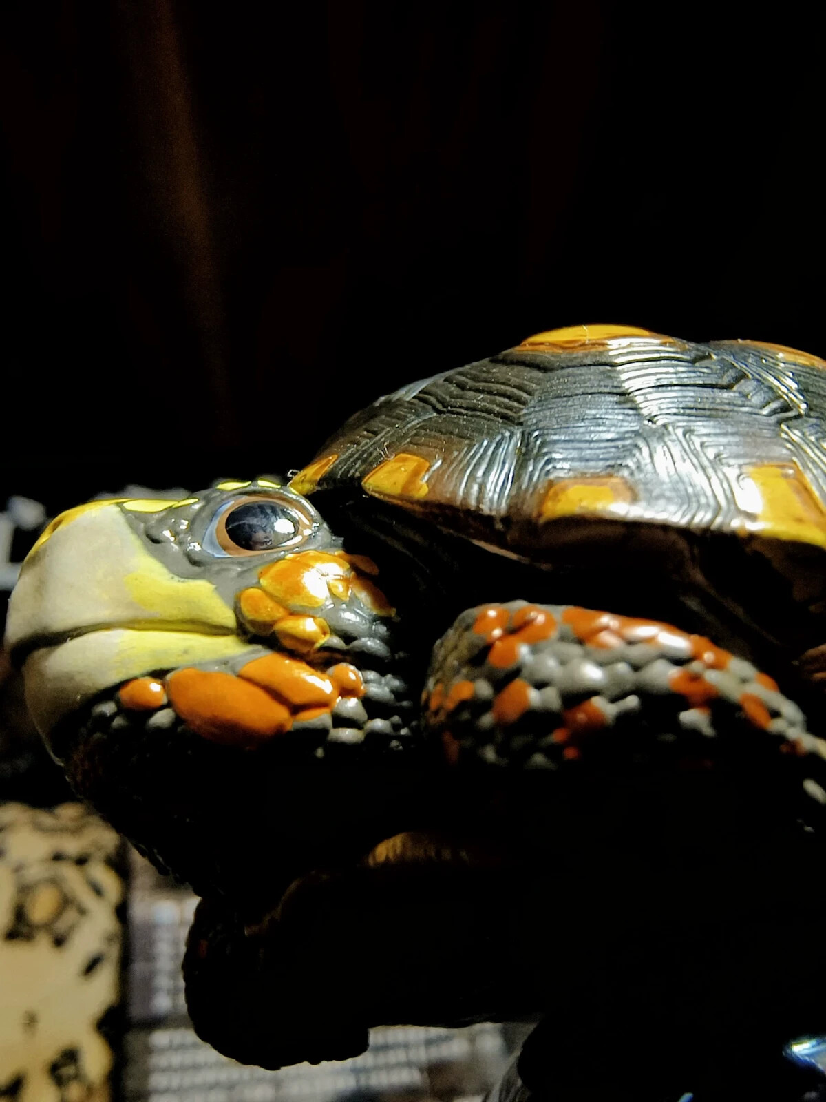 Animal Planet Red Footed Tortoise Animal Heavenly Body Collect Turtle Model