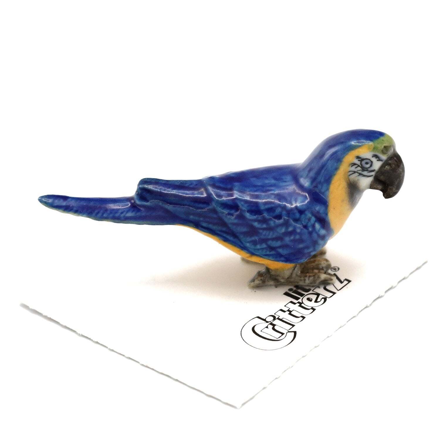 Little Critterz Parrot Blue & Gold Macaw “Arara” – Miniature Porcelain Figurine
