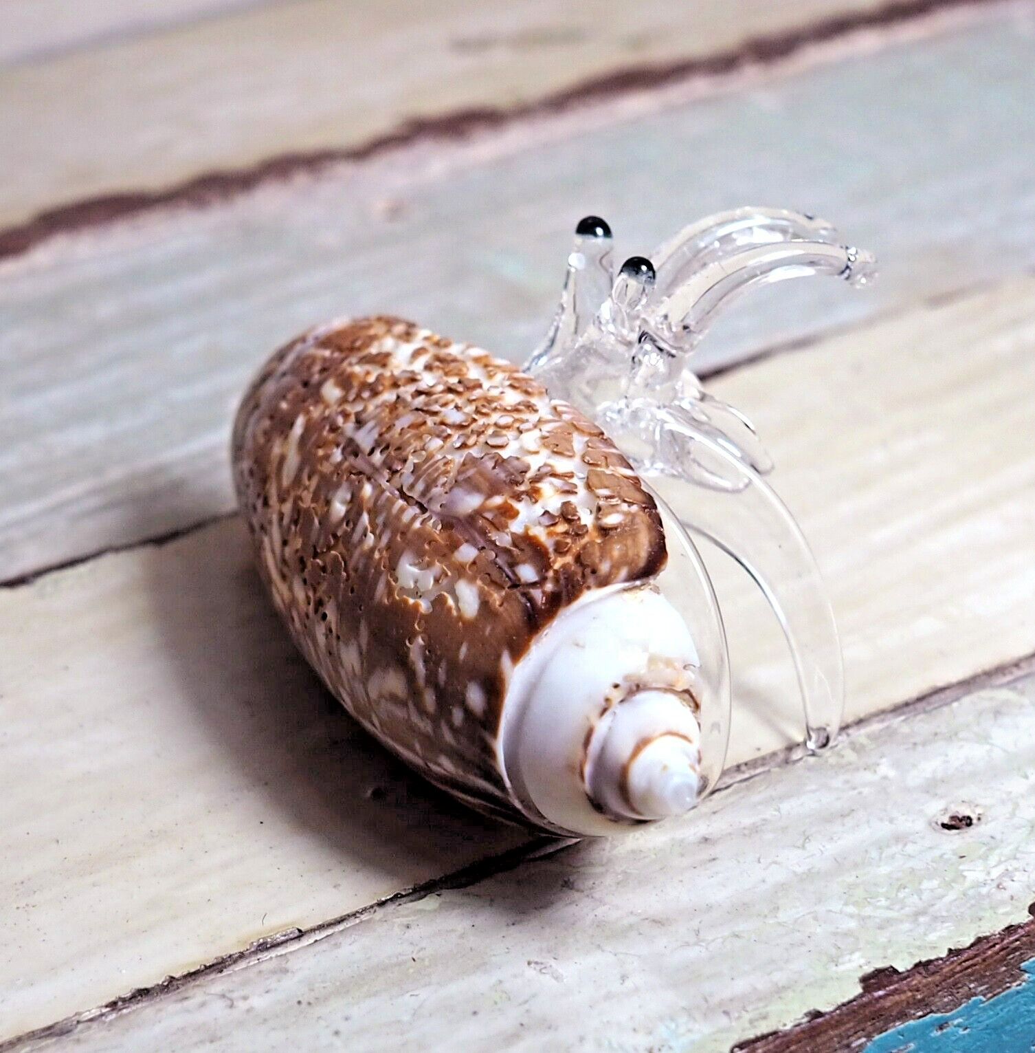 Seashell HERMIT CRAB handmade blown glass figurine Home Decor Gift – Cute