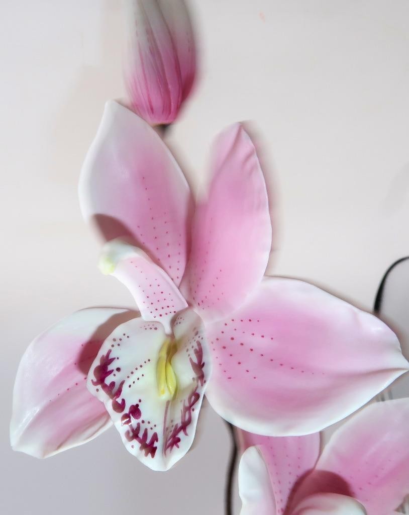 Boehm, England Cymbidium PINK ORCHID, #60008 Porcelain Floral Figurine, 10 1/2″