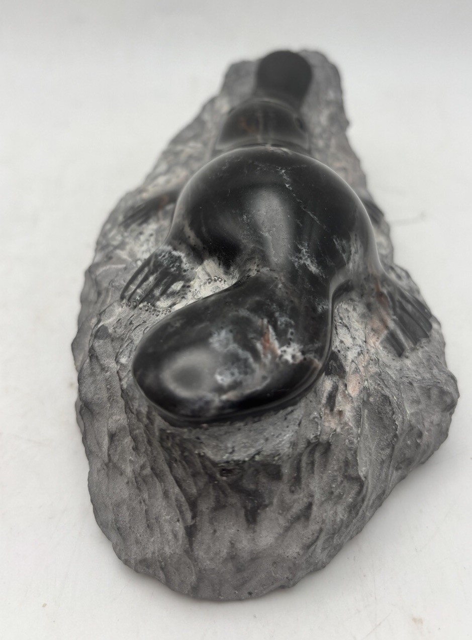 Foot’s Artworks Platypus Black Cast Marble Sculpture Figurine