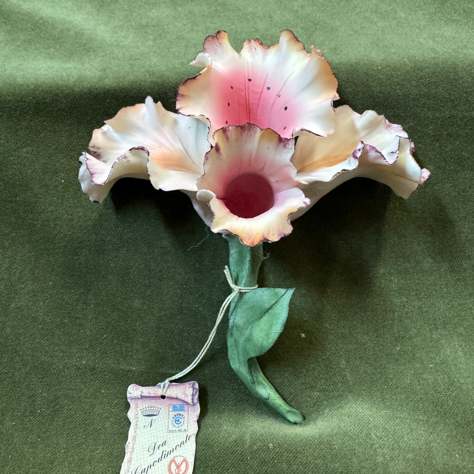 Capodimonte Napoli Italia Dea Capodimonte Porcelain Pink Orchid – NWF #404128