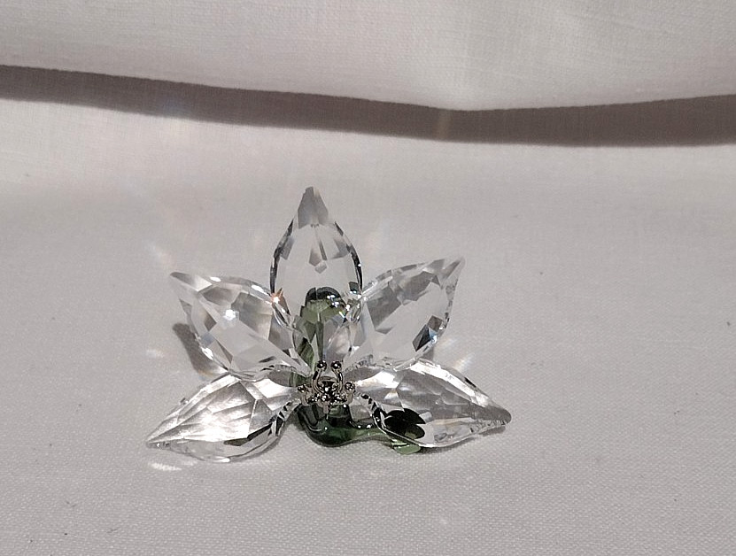Swarovski African Orchid w/ Green Stem SCS Member Gift