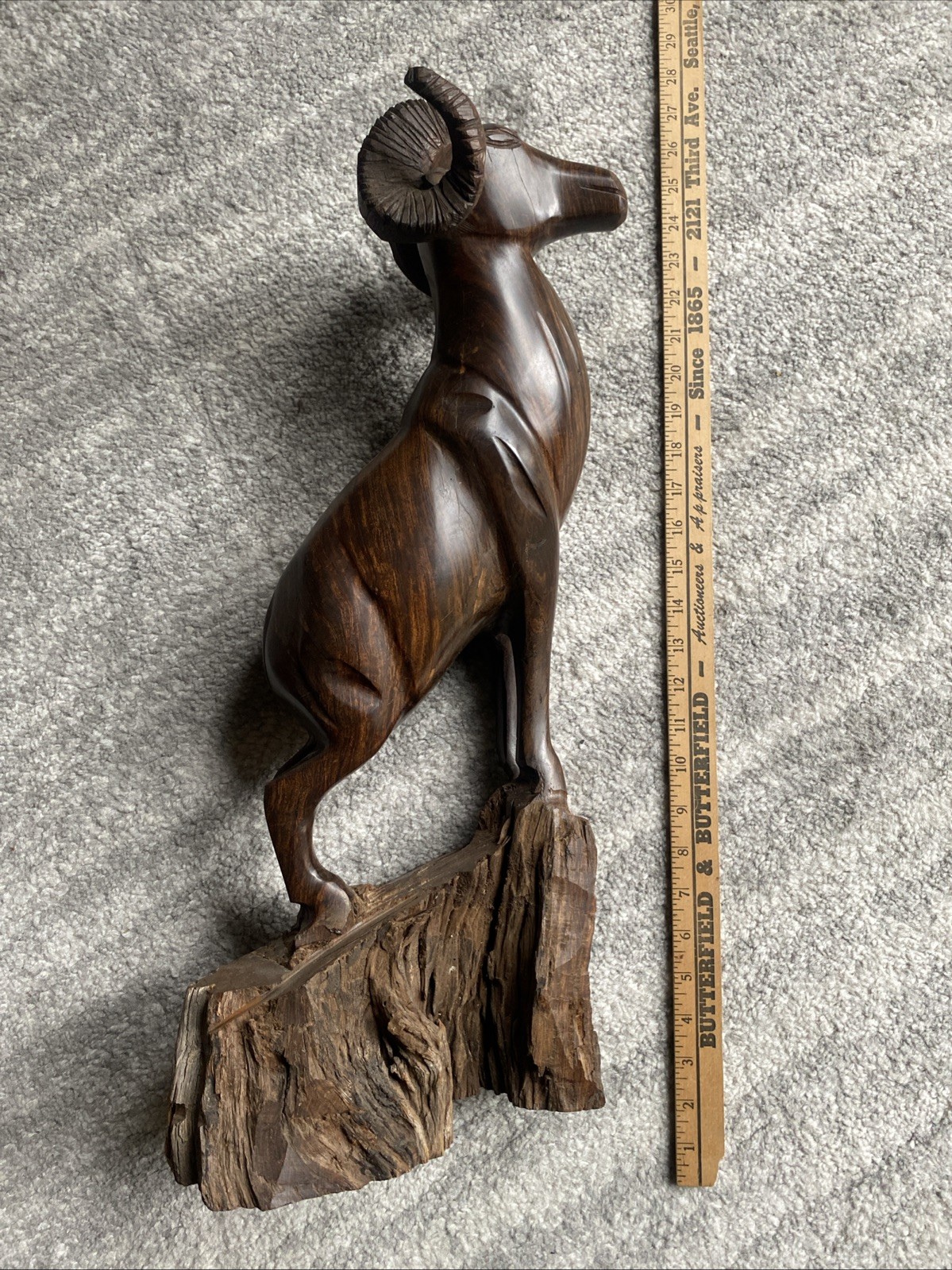 LARGE! Big Horn Sheep Ram Hand Carved – Heavy Ironwood Wildlife Decor 22.5″H