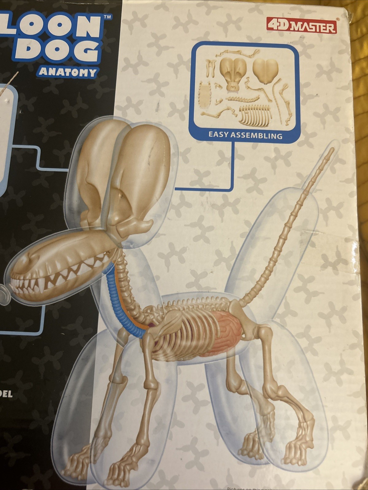 OG Balloon Dog Anatomy