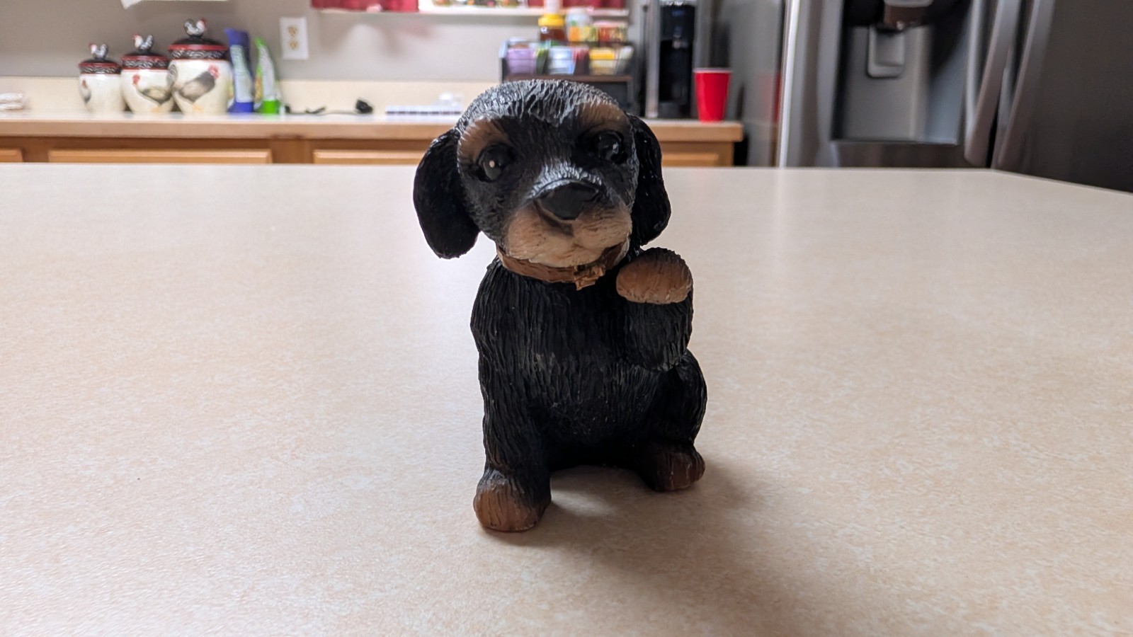 Country Artist Rottweiler Puppy