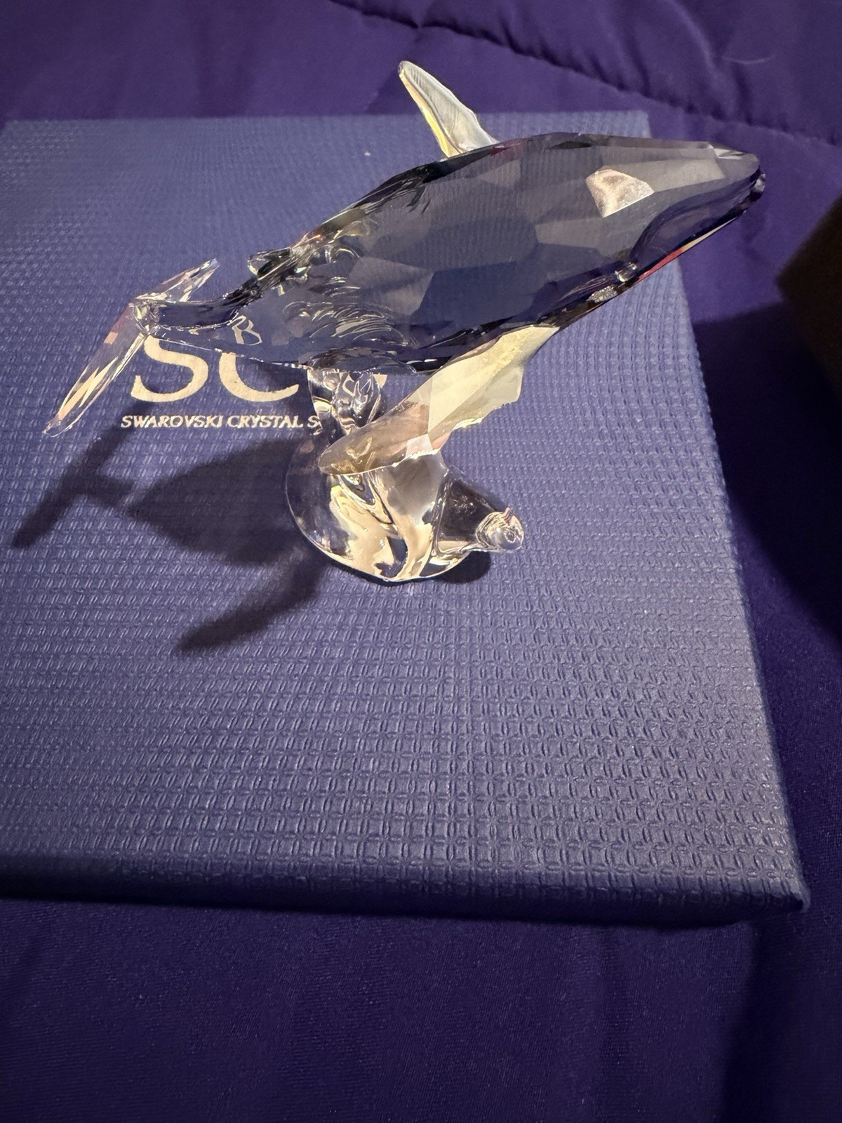 Swarovski 2012 SCS Annual Edition Young Whale #1096741