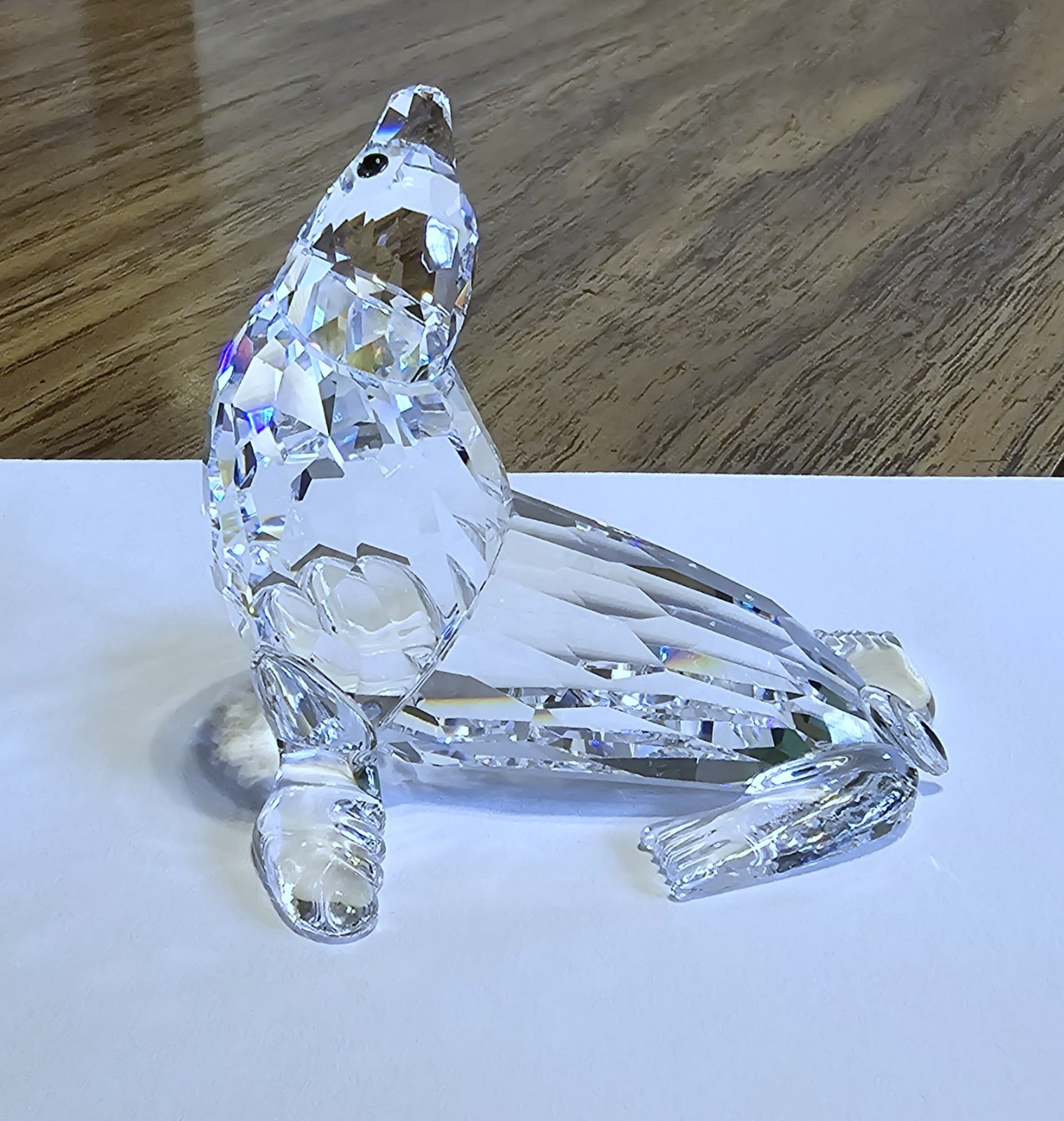 🌊 Swarovski Crystal 2005 “Aquatic Worlds”, Mother Sea Lion Figurine, Amber, NIB