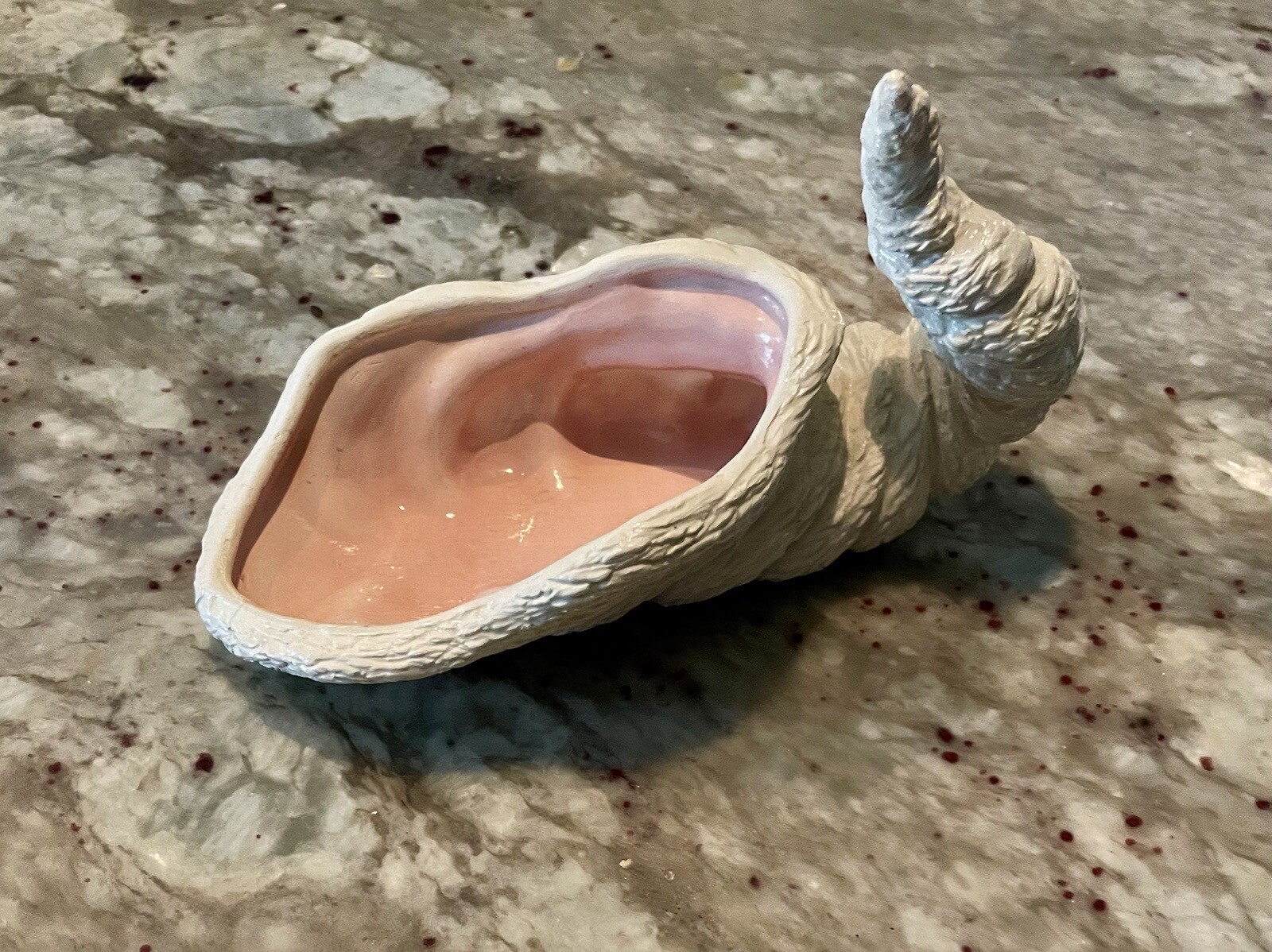 1979 NOWELL’S White Conch SEASHELL With Pink Gloss Interior – RARE BEAUTY!