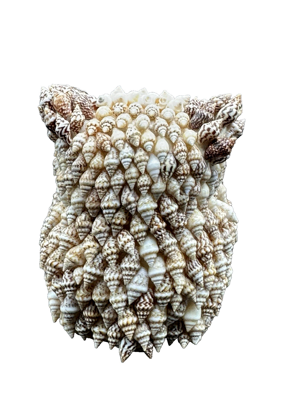 Vintage Seashell Owl Figurine with Googly Eyes – Souvenir Philippines