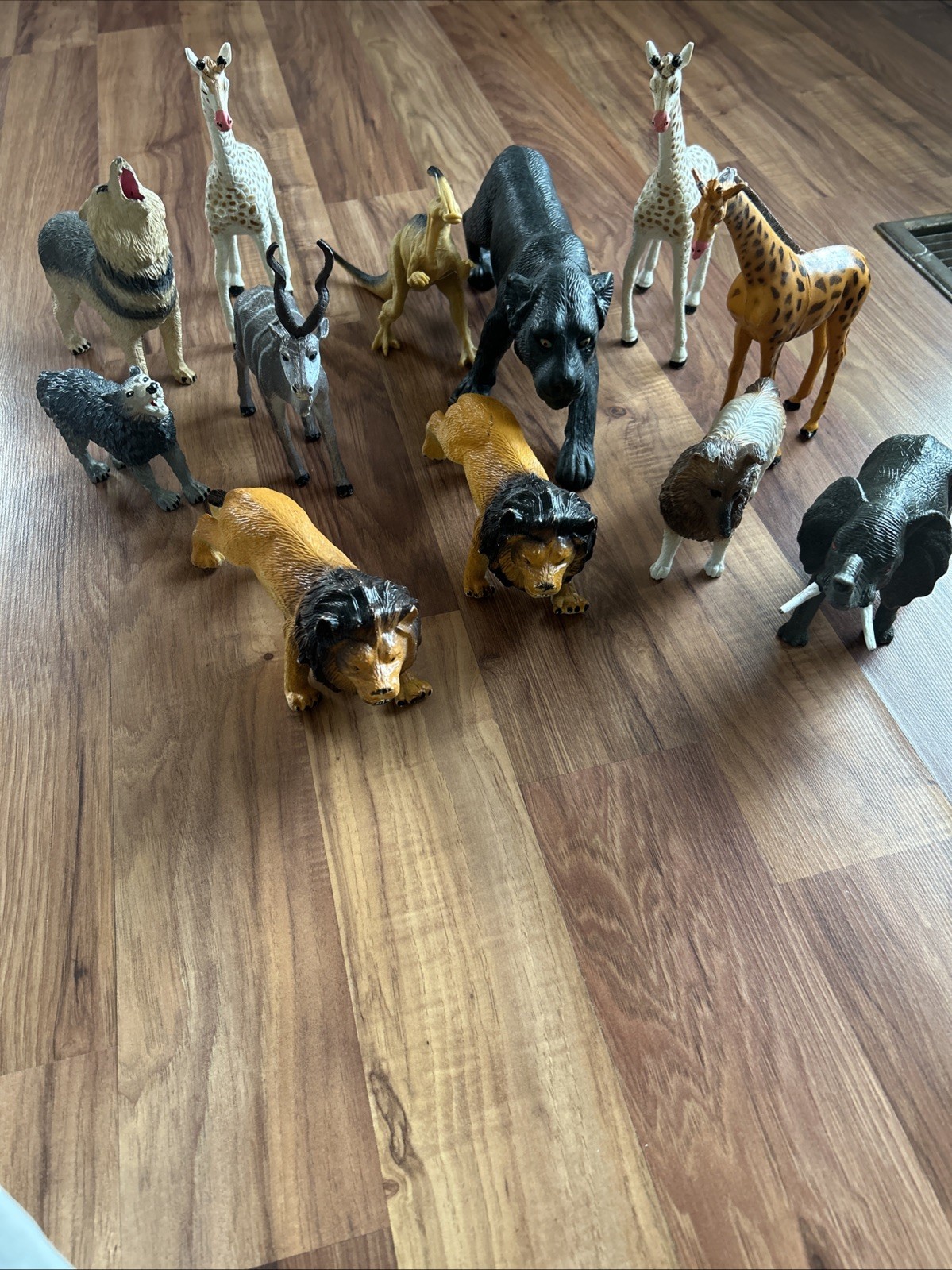 Animal ￼Kingdom assorted Collection, Complete Set