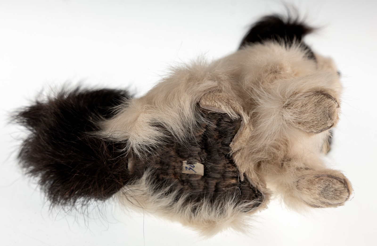 Mid Century Real Fur Miniture Dog Toy Figure Doll Pekingese Japanese Chin Used