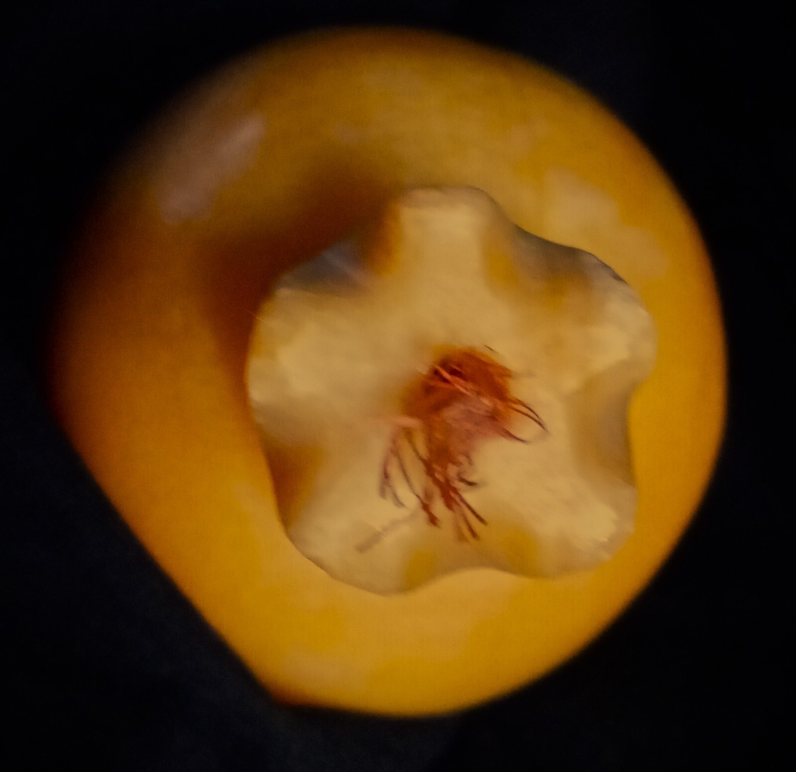 EUC Hand Carved Yellow & Rose Marble Pomegranate – 3.50″ Tall x 7.50″ Around