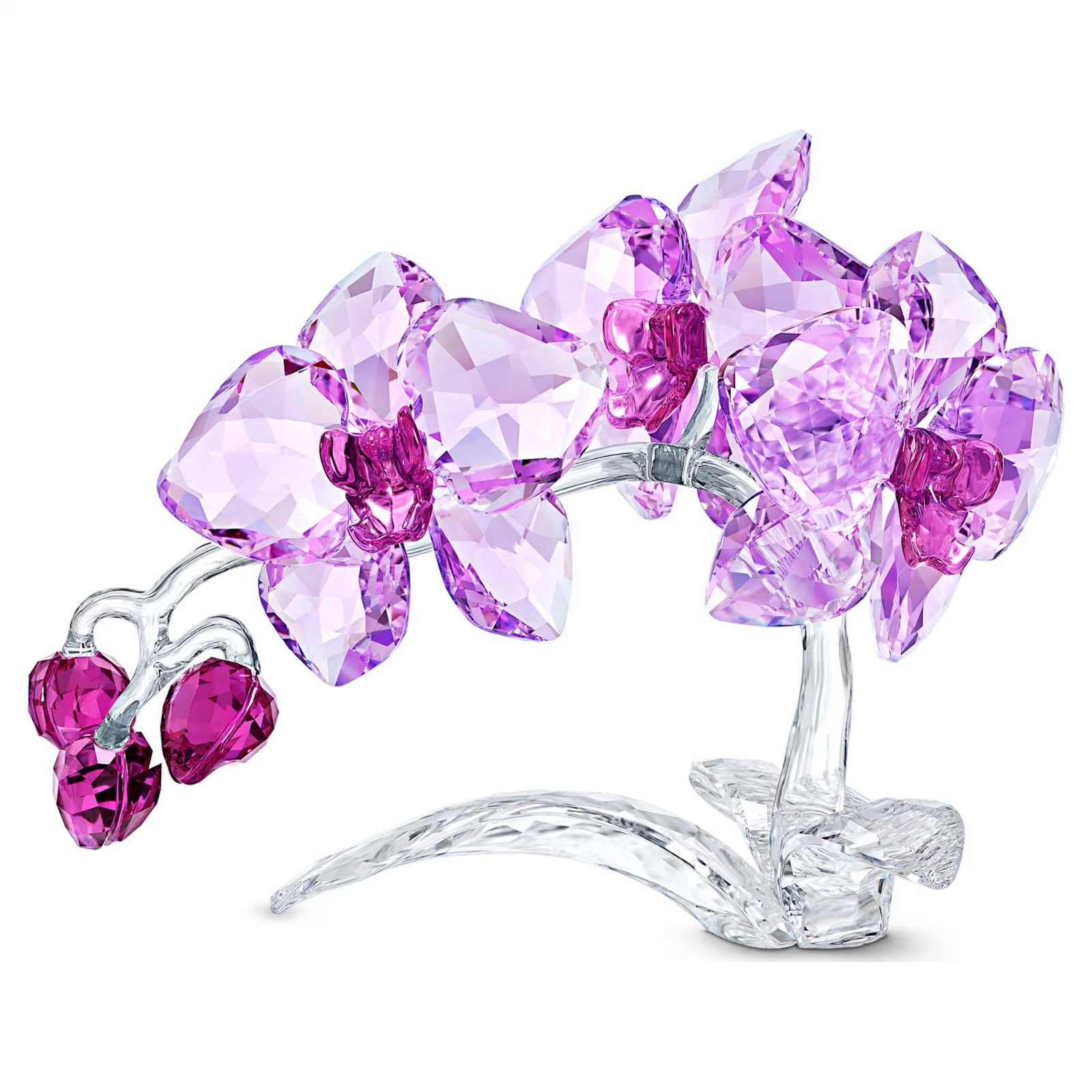 AUTHENTIC SWAROVSKI BRAND NEW Crystal Flowers Orchid Figurine Purple 5520373