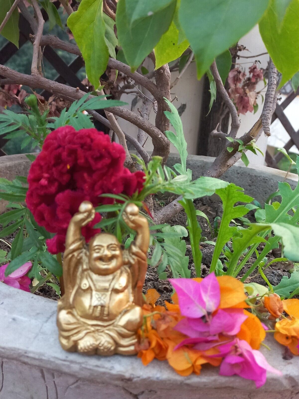 Lovely Brass Decorative Laughing Buddha Handmade Statue India Art Feng Shui Gift