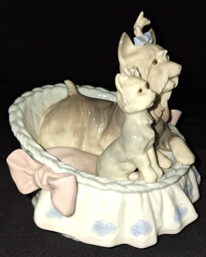 LLADRO YORKIE YORKSHIRE TERRIER DOG Our Cozy Home #6469 RETIRED PORCELAIN FIGURE