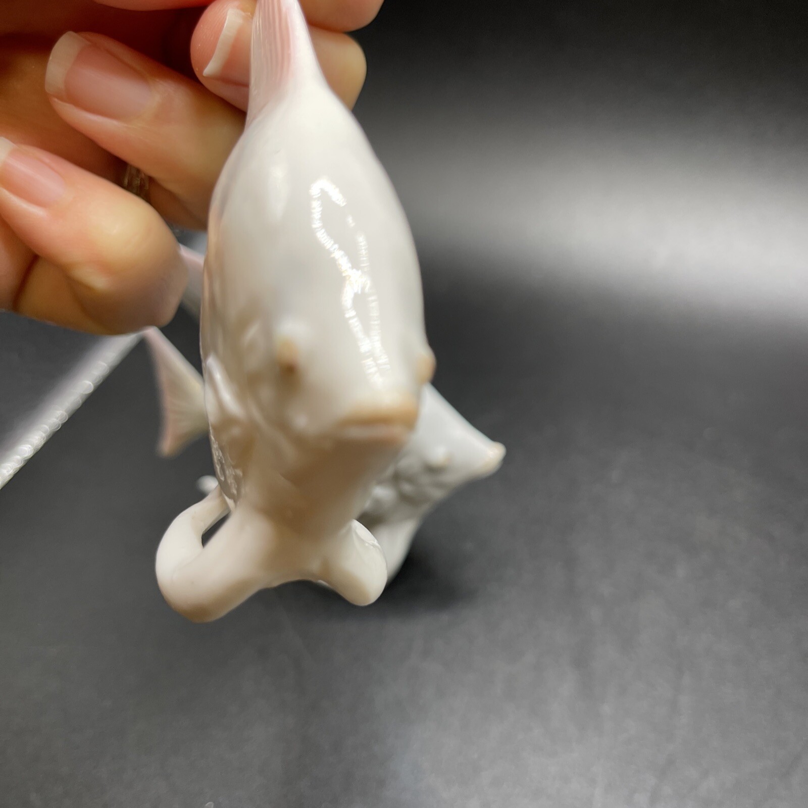 Bone China Angel Fish