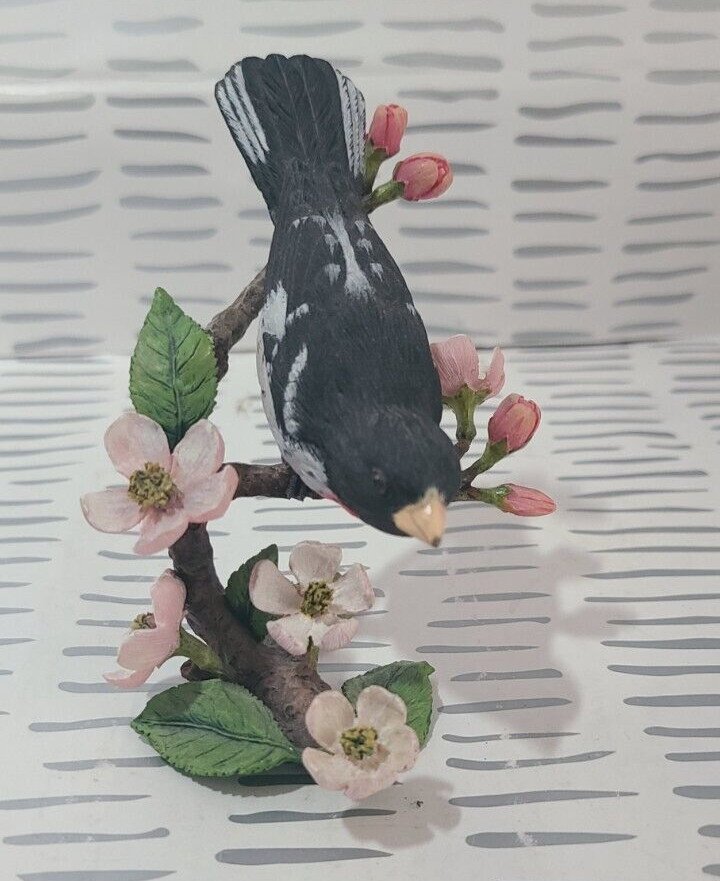 Backyard Birds of North America Porcelain Birds Figures