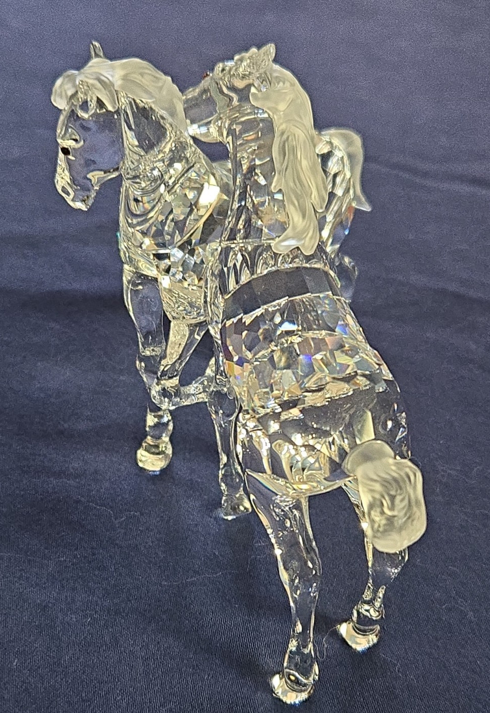 Swarovski Crystal Playing Foals #627637 Figurine Clear New in Box