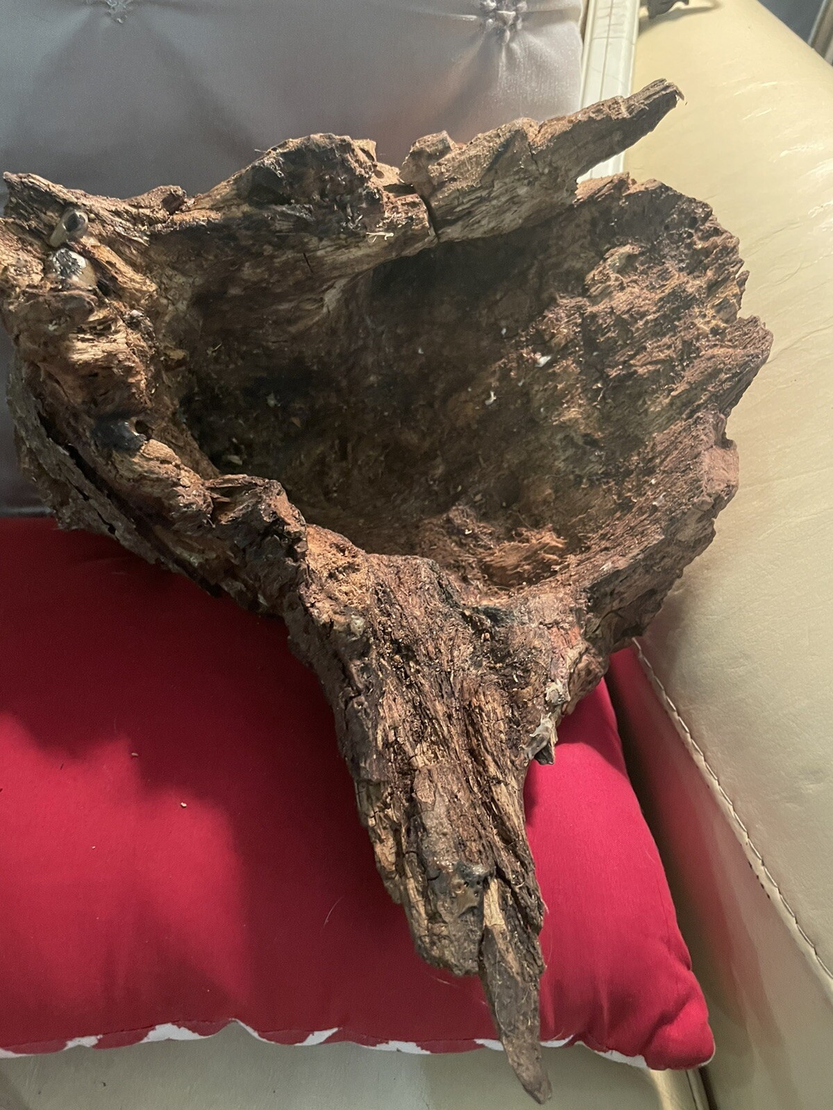 Artisan Driftwood “bowl “ Sculpture. Treated And Preserved W/ Natural finish