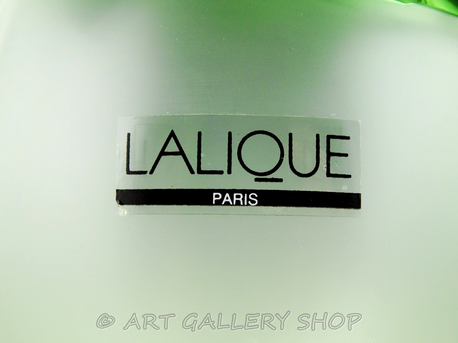 Lalique Paris France Crystal 8.5″ SAINT BARTH GREEN FLOWER VASE #12475 Mint!