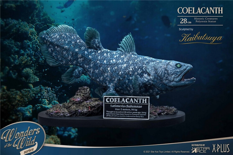Star Ace Toys Coelacanth Fossil Replica Deluxe Version Painted Statue Stock