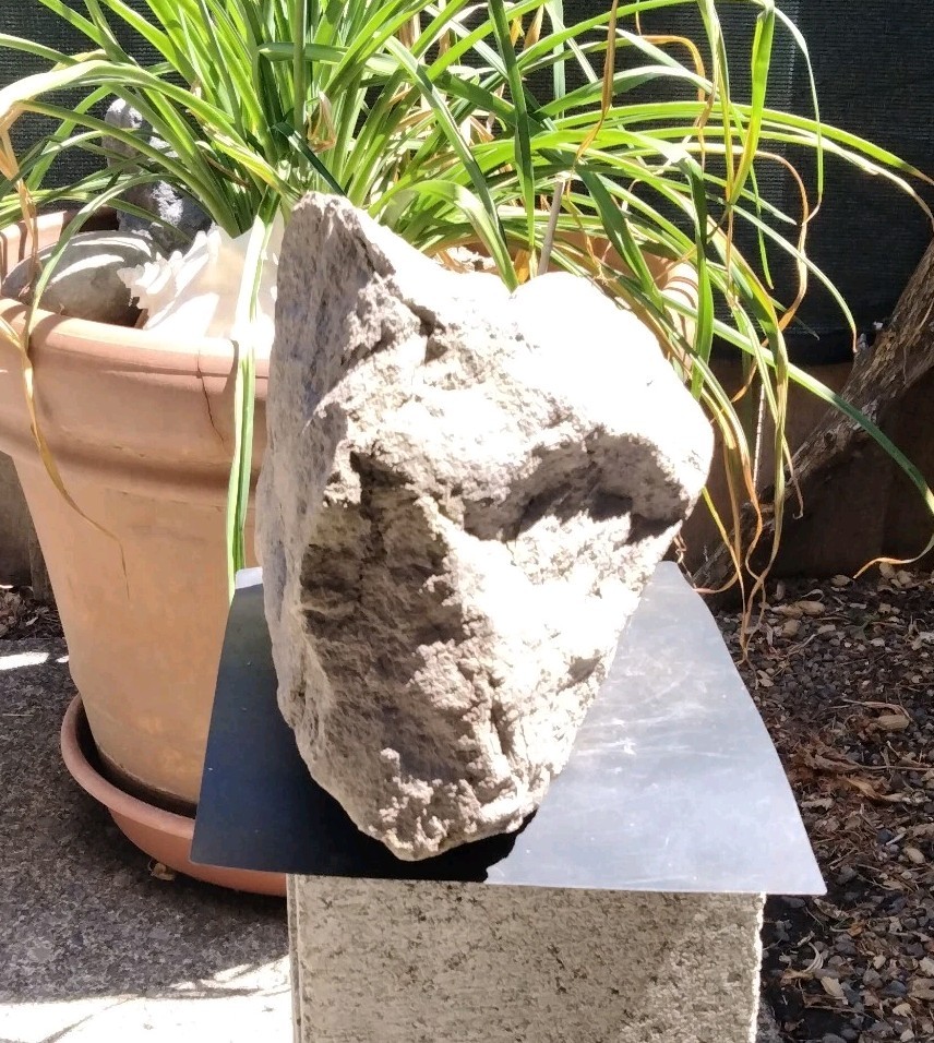 Prehistoric, basalt, Paleo-American rock art sculpture multi tool.