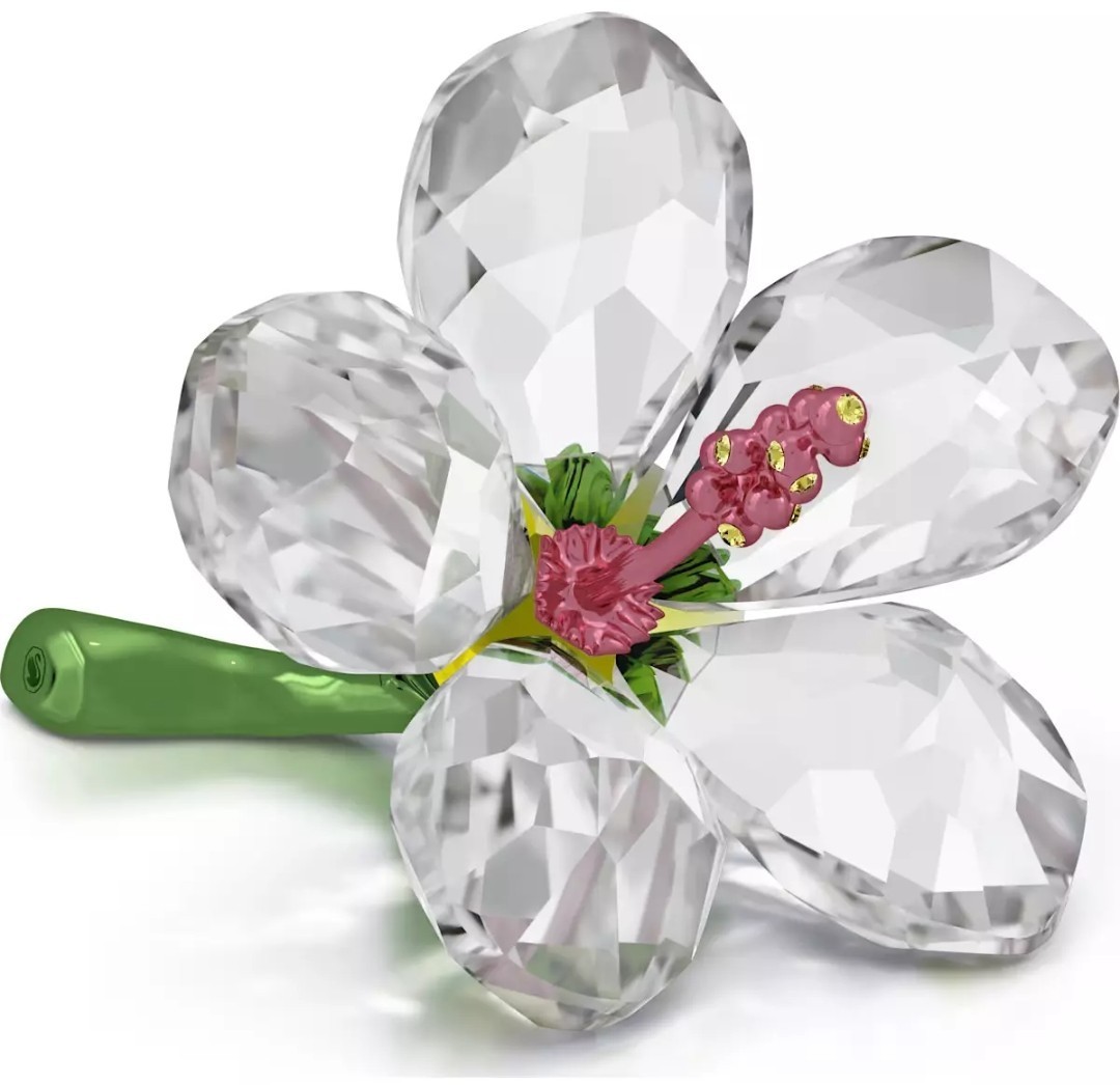 🌺 Swarovski Crystal 2025 “Florere Collection”, Hibiscus Flower Figurine NIB