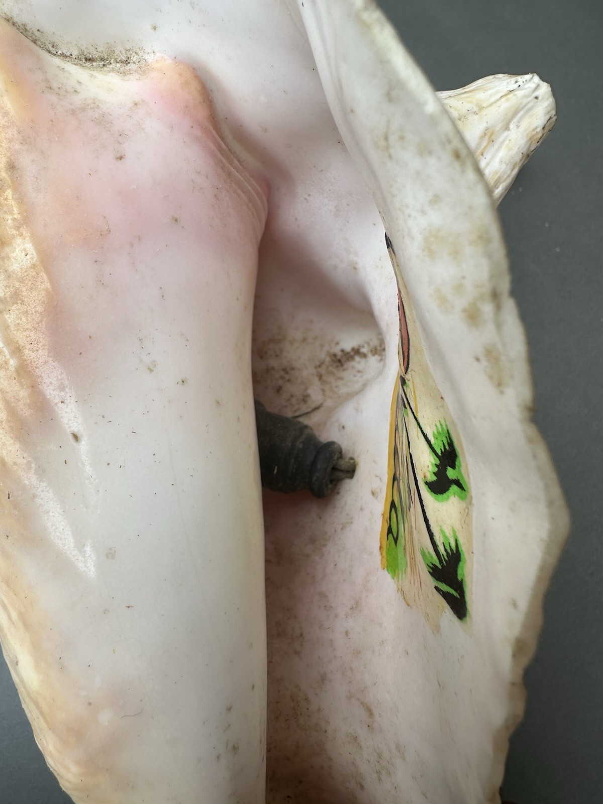 RARE Vintage Decorative Conchshell With Crocodile Or Alligator ( Not Sure Which)