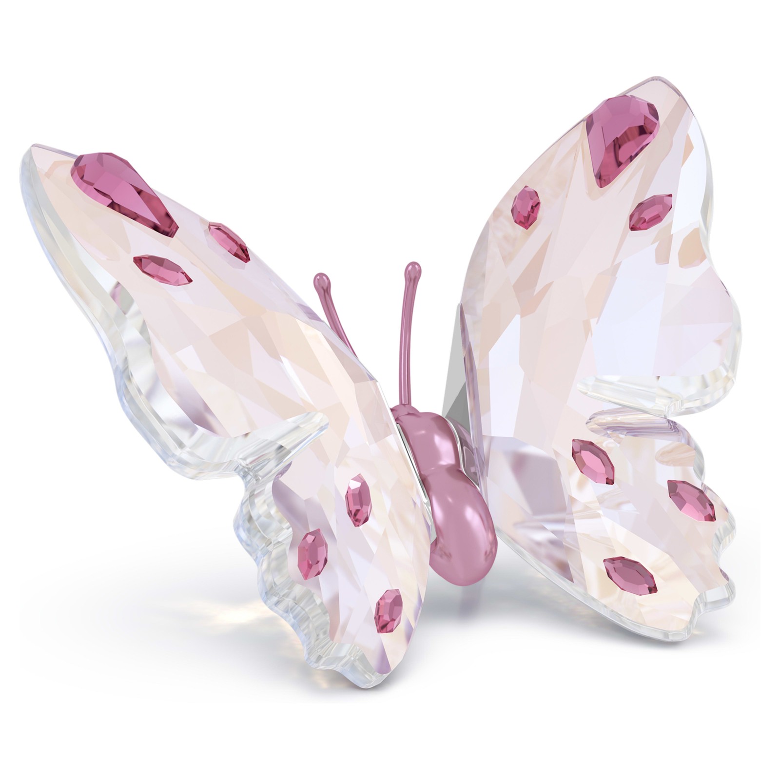 Swarovski Idyllia Butterfly, Small, 5691959 Designer: Parichehr Shirazi