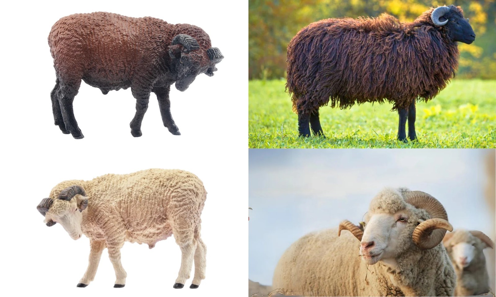 Toymany 8-pcs Merino Sheep Animal Figurine, Collectible Hand-painted Toy Set