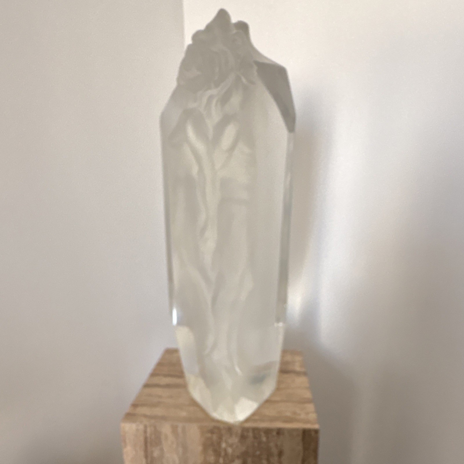 Glass Clear Frosted Abstract Art Sculpture Figurine for Adults Any Room Decor