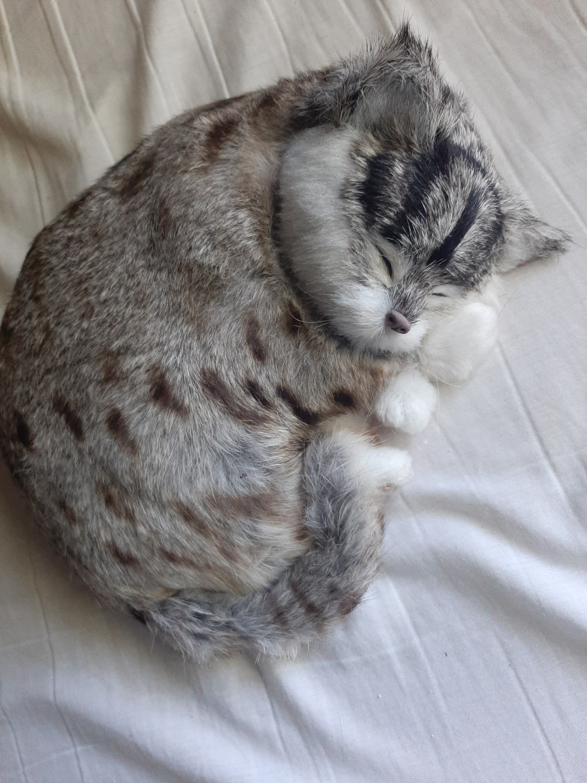 Vintage sleeping cat Large figurine made of real rabbit fur 11 X 9