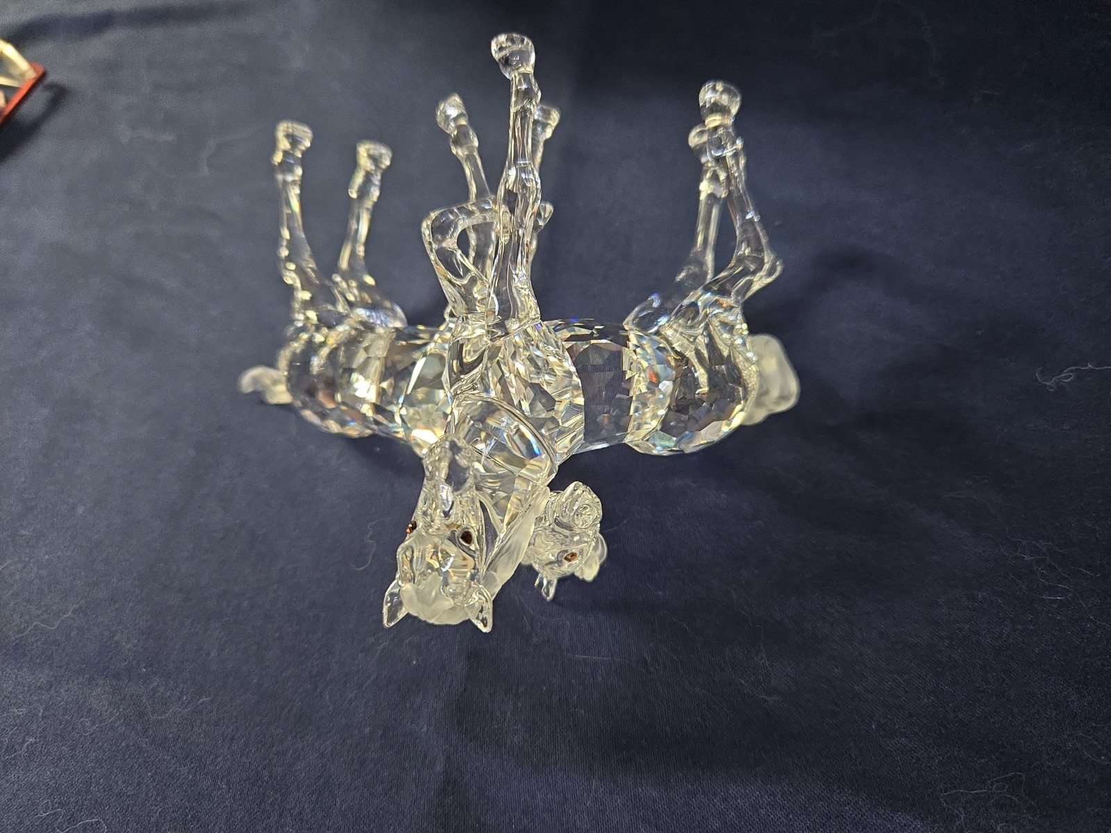 Swarovski Crystal Playing Foals #627637 Figurine Clear New in Box
