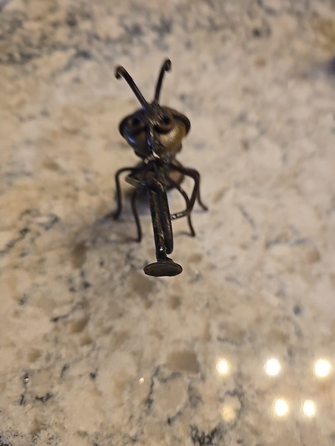 Metal Trumpet Playing Ant Stone Art Sculpture Unique Vintage Aprox 5″x5″