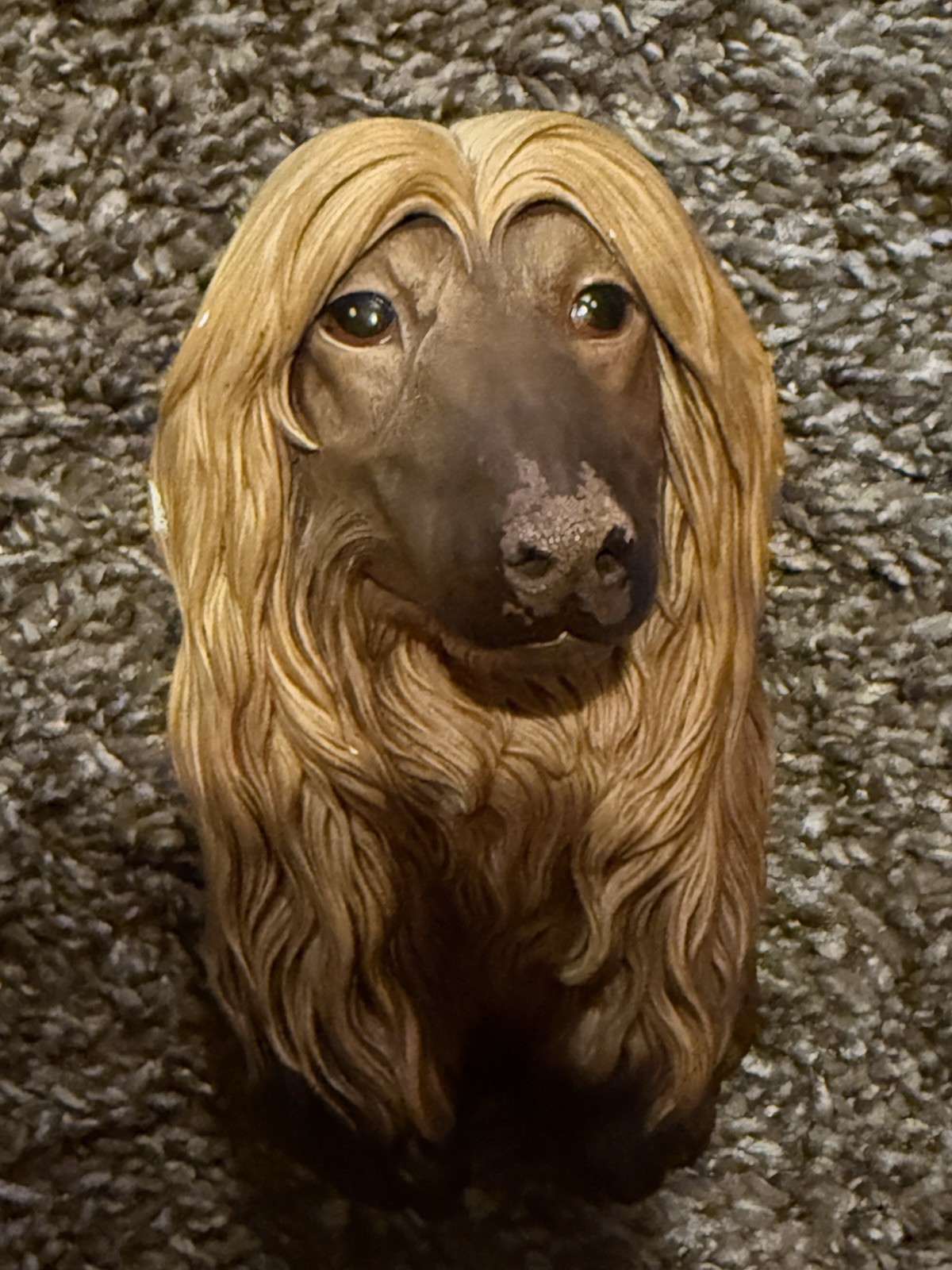 Bosson chalkware heads Afghan Hound – England