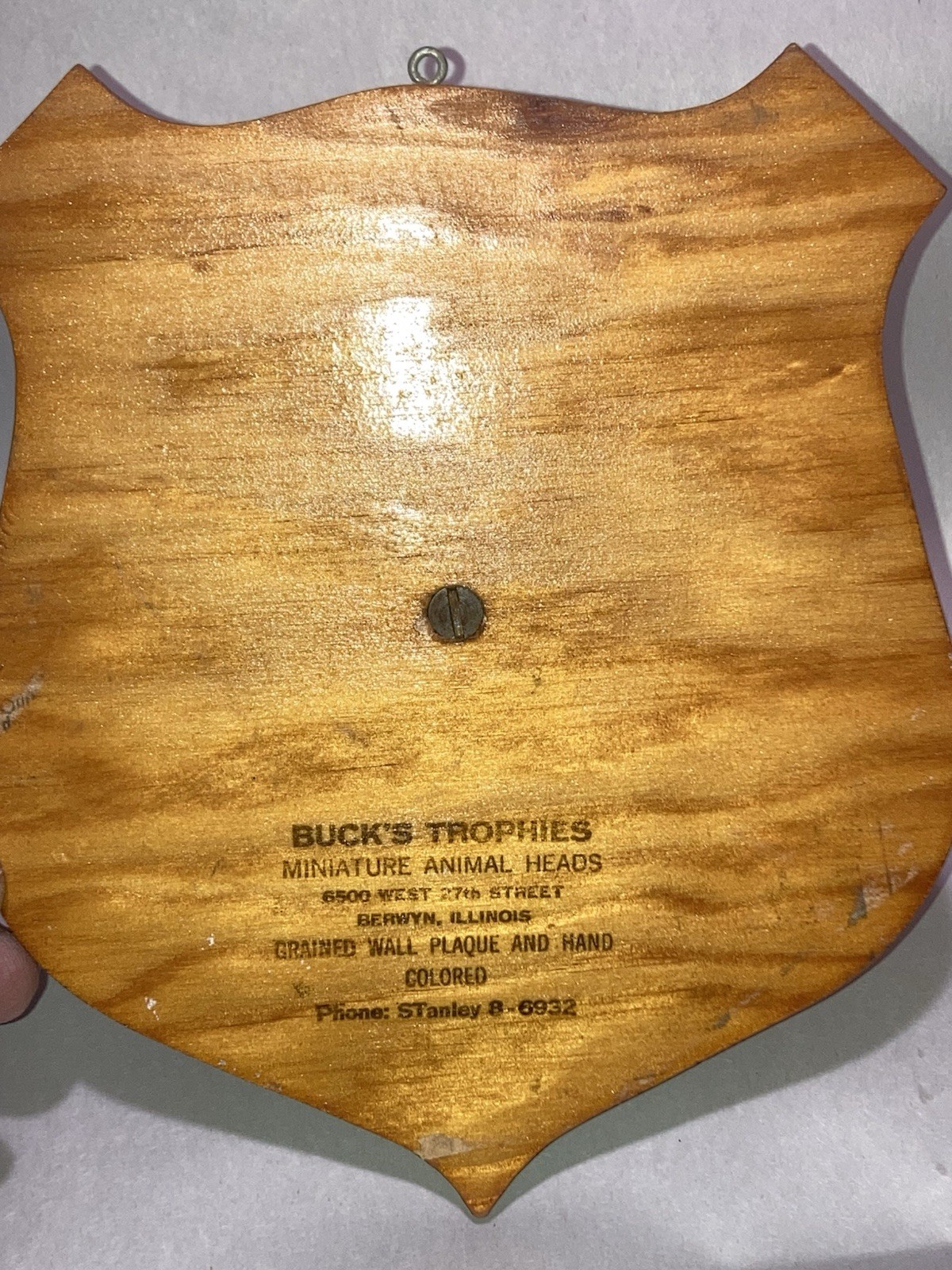 Vintage Miniature Faux Grizzly Bear Animal Head Trophy Plaque By Buck’s Trophies