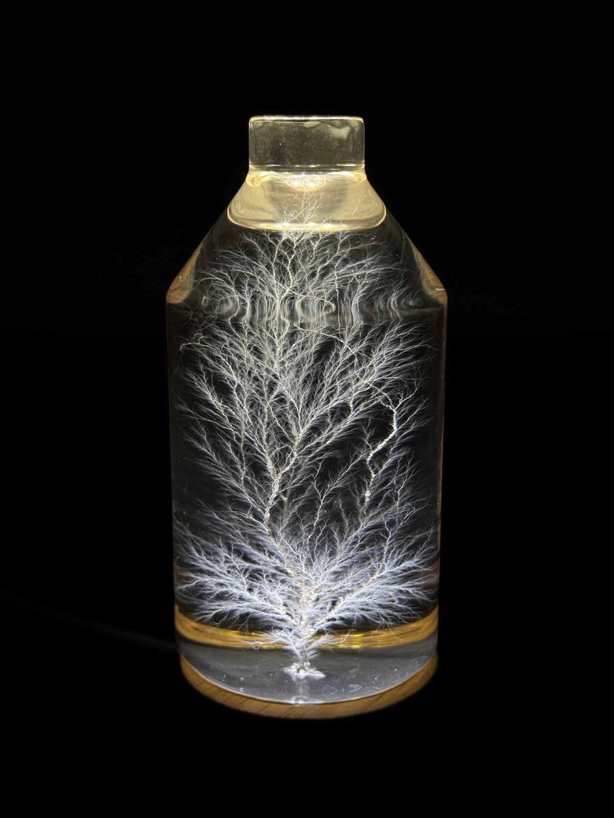 Lichtenberg Figure 2×3 Bottled Lightning with Engraving service- DM for specific