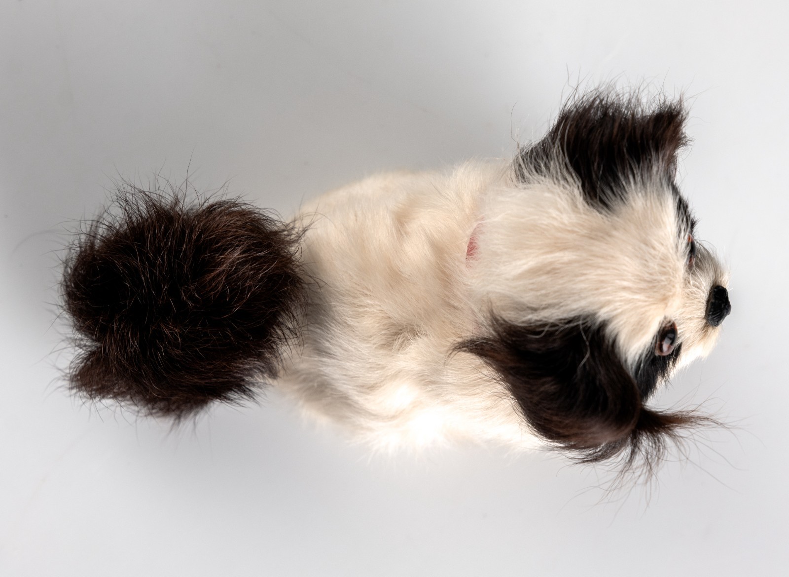 Mid Century Real Fur Miniture Dog Toy Figure Doll Pekingese Japanese Chin Used